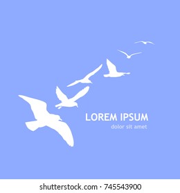 Flying birds logo. Vector