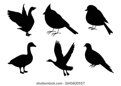 Flying birds on black silhouette in the sky. Flying and perched birds black clipart. Editable Vector birds of prey or predatory birds. Vector Illustration.
