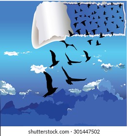 flying birds outside the box vector illustration