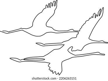 Flying birds Silhouette. Continuous line drawing. Vector illustration. 