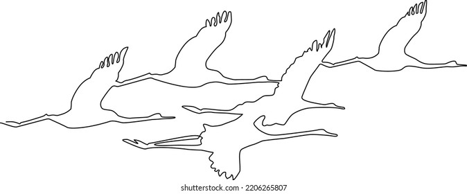 Flying birds Silhouette. Continuous line drawing. Vector illustration. 