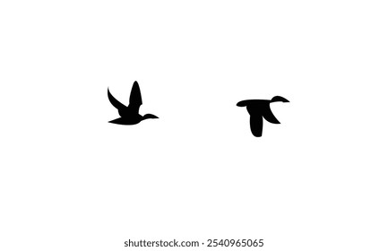 Flying Birds Silhouette Design In White Background
