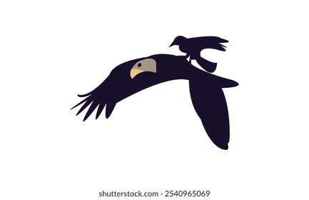 Flying Birds Silhouette Design In White Background

