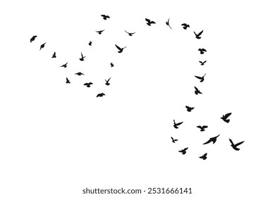 Flying birds in silhouette, flock, flight in different positions. Hover, soaring, landing, flying, flutter	