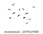 Flying birds silhouette flock. hand drawing. Not AI, Vector illustration.