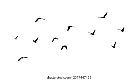 Flying birds silhouette flock. hand drawing. Not AI, Illustrat3 . Vector illustration