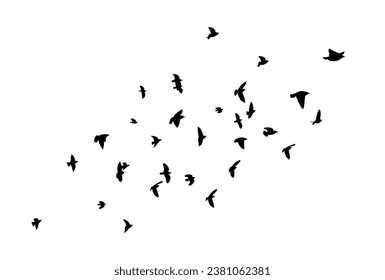 Flying birds silhouette flock. hand drawing. Not AI, Illustrat3. Vector illustration