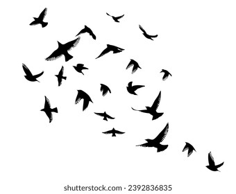 Flying birds silhouette flock. hand drawing. Not AI, Vector illustration