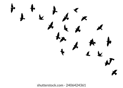 Flying birds silhouette flock. hand drawing. Not AI. Vector illustration