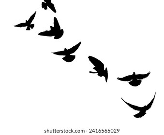 Flying birds silhouette flock. hand drawing. Not AI, Illustrat3 . Vector illustration