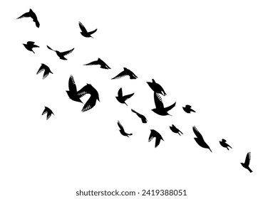 Flying birds silhouette flock. hand drawing. Not AI. Vector illustration