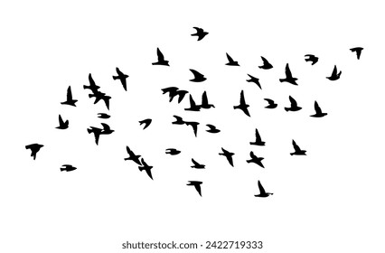 Flying birds silhouette flock. hand drawing. Not AI, Vector illustration