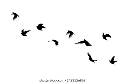 Flying birds silhouette flock. hand drawing. Not AI. Vector illustration