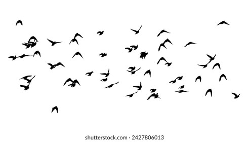 Flying birds silhouette flock. hand drawing. Not AI, Vector illustration