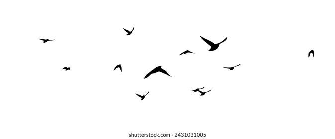 Flying birds silhouette flock. hand drawing. Not AI, Vector illustration