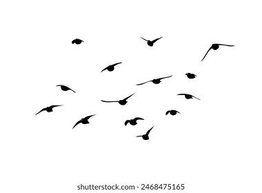 Flying birds silhouette flock. hand drawing. Not AI, Vector illustration