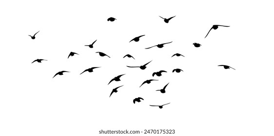 Flying birds silhouette flock. hand drawing. Not AI, Vector illustration