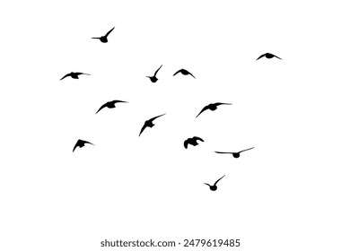 Flying birds silhouette flock. hand drawing. Not AI, Vector illustration.