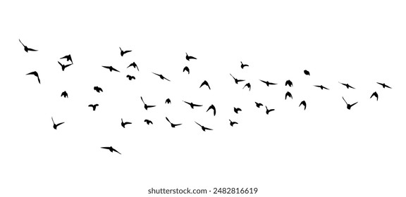 Flying birds silhouette flock. hand drawing. Not AI, Summer vector illustration.