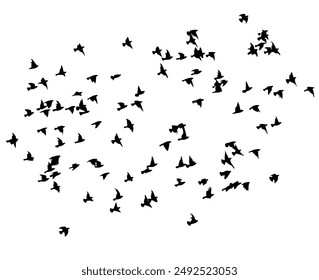 Flying birds silhouette flock. hand drawing. Not AI. Vector illustration.