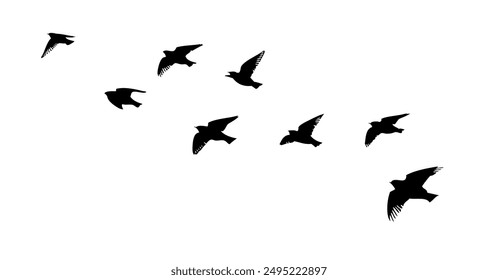 Flying birds silhouette flock. hand drawing. Not AI. Vector illustration.