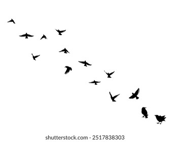 Flying birds silhouette flock. hand drawing. Not AI. Vector illustration.