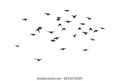 Flying birds silhouette flock. hand drawing. Not AI. Vector illustration.