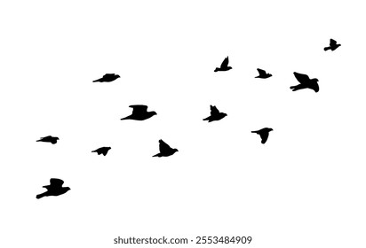 Flying birds silhouette flock. hand drawing. Not AI. Vector illustration.