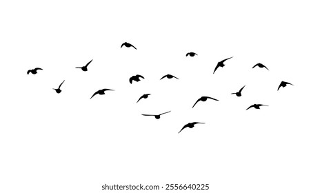 Flying birds silhouette flock. hand drawing. Not AI. Vector illustration.