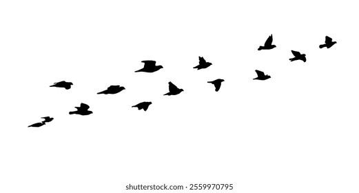 Flying birds silhouette flock. hand drawing. Not AI. Vector illustration.