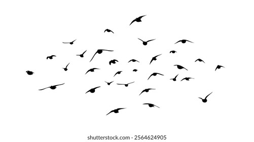 Flying birds silhouette flock. hand drawing. Not AI. Vector illustration.