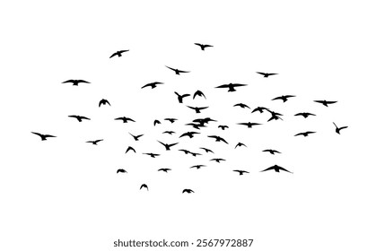 Flying birds silhouette flock. hand drawing. Not AI. Vector illustration.