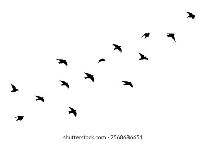 Flying birds silhouette flock. hand drawing. Not AI. Vector illustration.