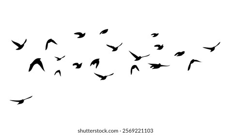 Flying birds silhouette flock. hand drawing. Not AI. Vector illustration.