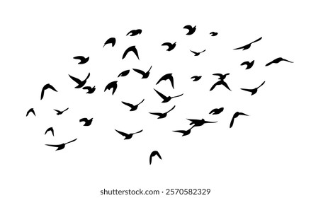 Flying birds silhouette flock. hand drawing. Not AI. Vector illustration.