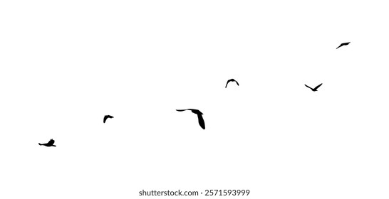 Flying birds silhouette flock. hand drawing. Not AI. Vector illustration.