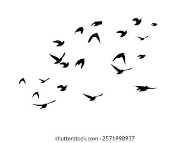 Flying birds silhouette flock. hand drawing. Not AI. Vector illustration.