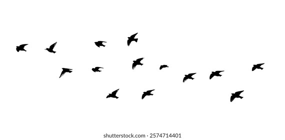 Flying birds silhouette flock. hand drawing. Not AI. Vector illustration.