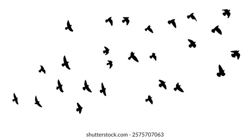 Flying birds silhouette flock. hand drawing. Not AI. Vector illustration.