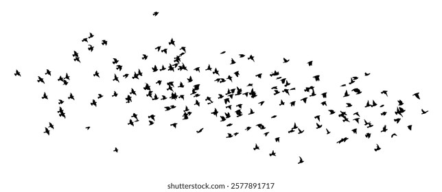 Flying birds silhouette flock. hand drawing. Not AI. Vector illustration.