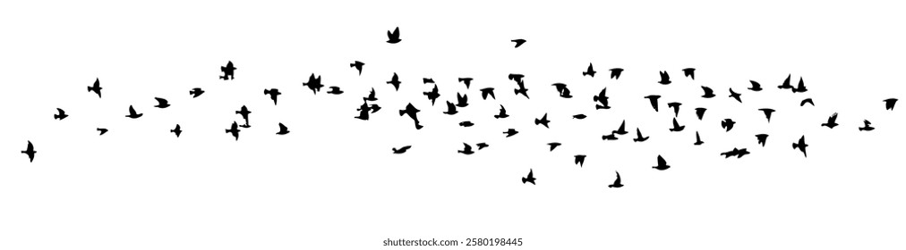 Flying birds silhouette flock. hand drawing. Not AI. Vector illustration.