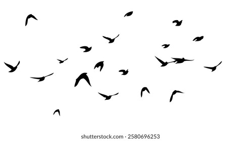 Flying birds silhouette flock. hand drawing. Not AI. Vector illustration.