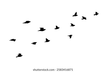 Flying birds silhouette flock. hand drawing. Not AI. Vector illustration.