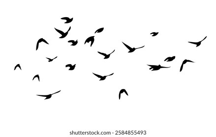 Flying birds silhouette flock. hand drawing. Not AI. Vector illustration.