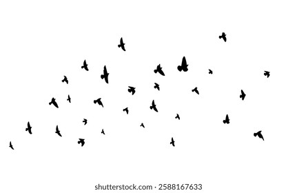 Flying birds silhouette flock. hand drawing. Not AI. Vector illustration.