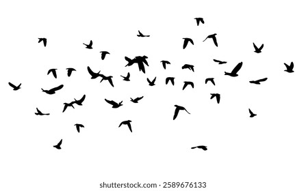 Flying birds silhouette flock. hand drawing. Not AI. Vector illustration.