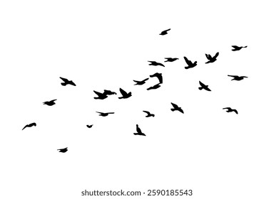 Flying birds silhouette flock. hand drawing. Not AI. Vector illustration.