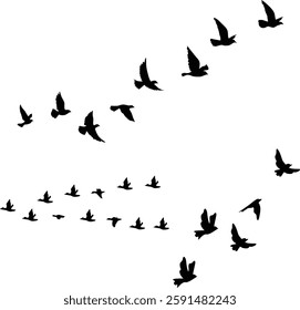 Flying birds silhouette flock. hand drawing. Not AI, Vector illustration.