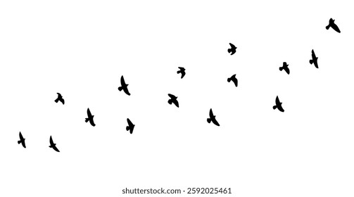 Flying birds silhouette flock. hand drawing. Not AI. Vector illustration.