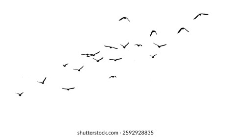 Flying birds silhouette flock. hand drawing. Not AI. Vector illustration.